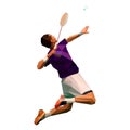 Polygonal professional badminton player doing smash shot. Royalty Free Stock Photo