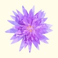 Polygonal purple lotus, polygon geometric flower, vector
