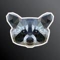 Polygonal racoon head