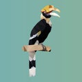 polygonal rhinoceros hornbill, polygon triangle bird, vector