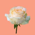 Polygonal rose, polygon geometric flower, vector Royalty Free Stock Photo