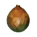 Polygonal Salacca or Salak Fruit, Low Poly Zalacca, Vector Illustration