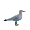 polygonal seagull art image. low poly seagull vector illustration