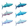 Polygonal Shark Vector Illustration. In Six Colour Options Royalty Free Stock Photo