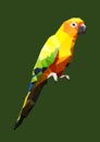 Polygonal sun conure parrot, polygon bird vector Royalty Free Stock Photo