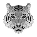 Polygonal tiger head. Low poly tiger