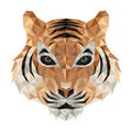 Polygonal tiger head. Low poly tiger