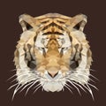 Polygonal tiger, polygon geometric animal, vector, illustration