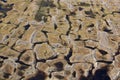 Polygonal tundra landscape in summer