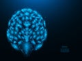 Polygonal vector illustration of a human brain on a dark blue background. Cerebrum anatomy low poly art