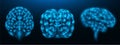 Polygonal vector illustration of a human brain on a dark blue background. Healthy human brain from different angles Royalty Free Stock Photo