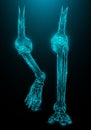 Polygonal vector illustration of leg bones on a dark blue background Royalty Free Stock Photo
