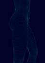 Polygonal wireframe waist of a nude girl. 3D. Vector illustration Royalty Free Stock Photo