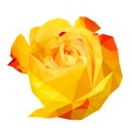 polygonal yellow rose, polygon flower, isolated vector illustation Royalty Free Stock Photo