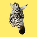 Polygonal zebra head, polygon animal, poly low geometric