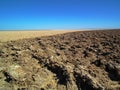 Salt flat polygons in desert