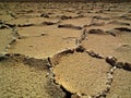 Salt flat polygons in desert