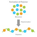 Polymer formation, Monomers unite through polymerization, yielding versatile polymers