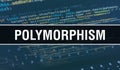 Polymorphism with Digital java code text. Polymorphism and Computer software coding vector concept. Programming coding script java Royalty Free Stock Photo