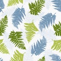 Polypodiophyta. Seamless pattern with ferns. Background with plants in red, blue and gray colors. Royalty Free Stock Photo