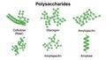 Polysaccharides isolated on white background Royalty Free Stock Photo