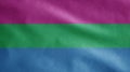 Polysexuality flag waving in the wind. Close up of Polysexual banner blowing