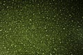 Polystyrene foam close-up. Bubbles Styrofoam texture background. Green background Royalty Free Stock Photo