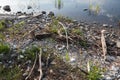 Polystyrene, styrofoam garbage on the shore Royalty Free Stock Photo