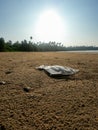 Abandoned plastic polythene bag on the beach. Royalty Free Stock Photo
