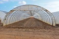 A Polytunnel Greenhouse