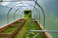 Polytunnel under construction Royalty Free Stock Photo