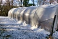 Polytunnel in Winter Royalty Free Stock Photo