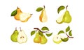 Pomaceous Pear Fruit with Upper End of Flower Stalk and Green Fibrous Leaf Vector Set