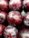 pome fruit is purplish in color which is good for health