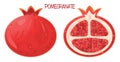 Pomegranate Illustration. Pomegranate Icon. Fresh Pomegranate Fruit