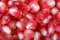 Pomegranate Royalty Free Stock Photo