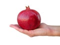 Pomegranate Royalty Free Stock Photo