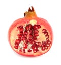 Pomegranate