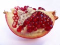 Pomegranate