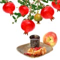 Pomegranate, apple fruit and honey comb with honey. Isolated on a white