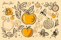 Pomegranate, apple and honeycomb border, Jewish new year, Rosh Hashanah, Shana