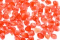 Pomegranate arils Royalty Free Stock Photo