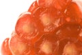 Pomegranate arils Royalty Free Stock Photo