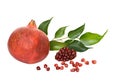 Pomegranate and arils Royalty Free Stock Photo