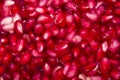 Pomegranate arils Royalty Free Stock Photo