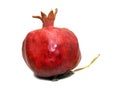Pomegranate Royalty Free Stock Photo
