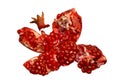 Pomegranate Royalty Free Stock Photo