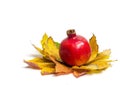 Pomegranate on autumn maple leaves Royalty Free Stock Photo