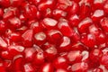 Pomegranate background