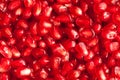 Pomegranate background